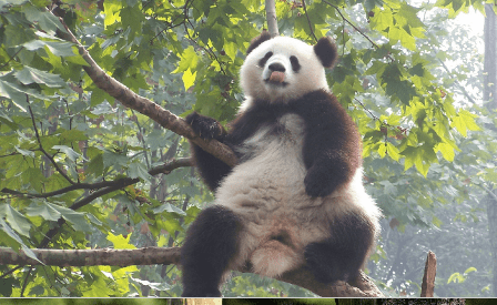 70后网名大全男_再一次ろ灬受伤↘