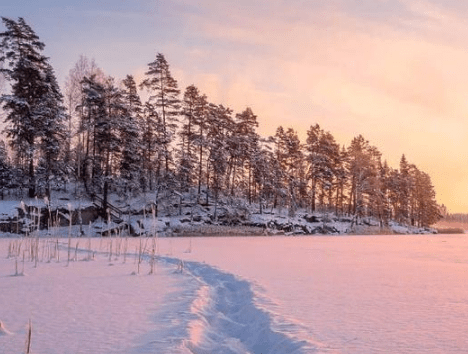 适合女生的微信名字可爱汇总、渐次薄凉