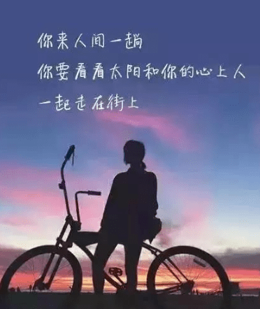 非常隐秘的表白句子--<相和柳>