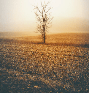 昵称简短好听霸气_长不过执念▏短不过善