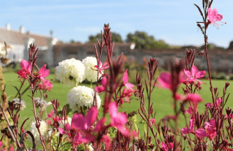 简单好听的微信名精选_hollis[