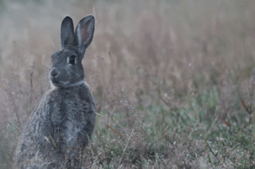 快手名字女霸气昵称、@桃色
