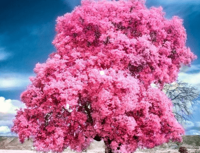 2021火爆昵称女_関→鈊→瑷祢