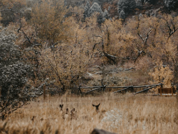 2022最新伤感情侣网名大全_崽崽酱