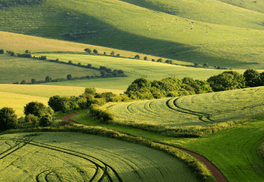 qq网名大全2021最新版的男_秋双，雨真，觅珍，丹