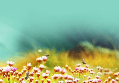 2022微信个性网名