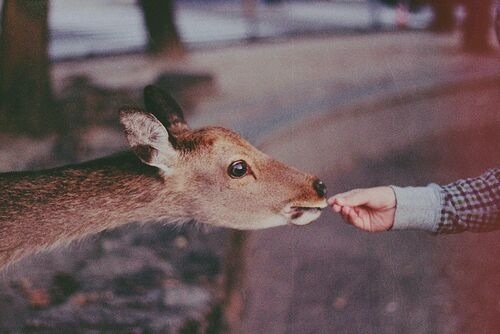 青涩的网名 中东富豪※讨论组