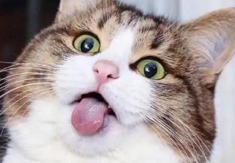 2021好听意境的情侣英文网名