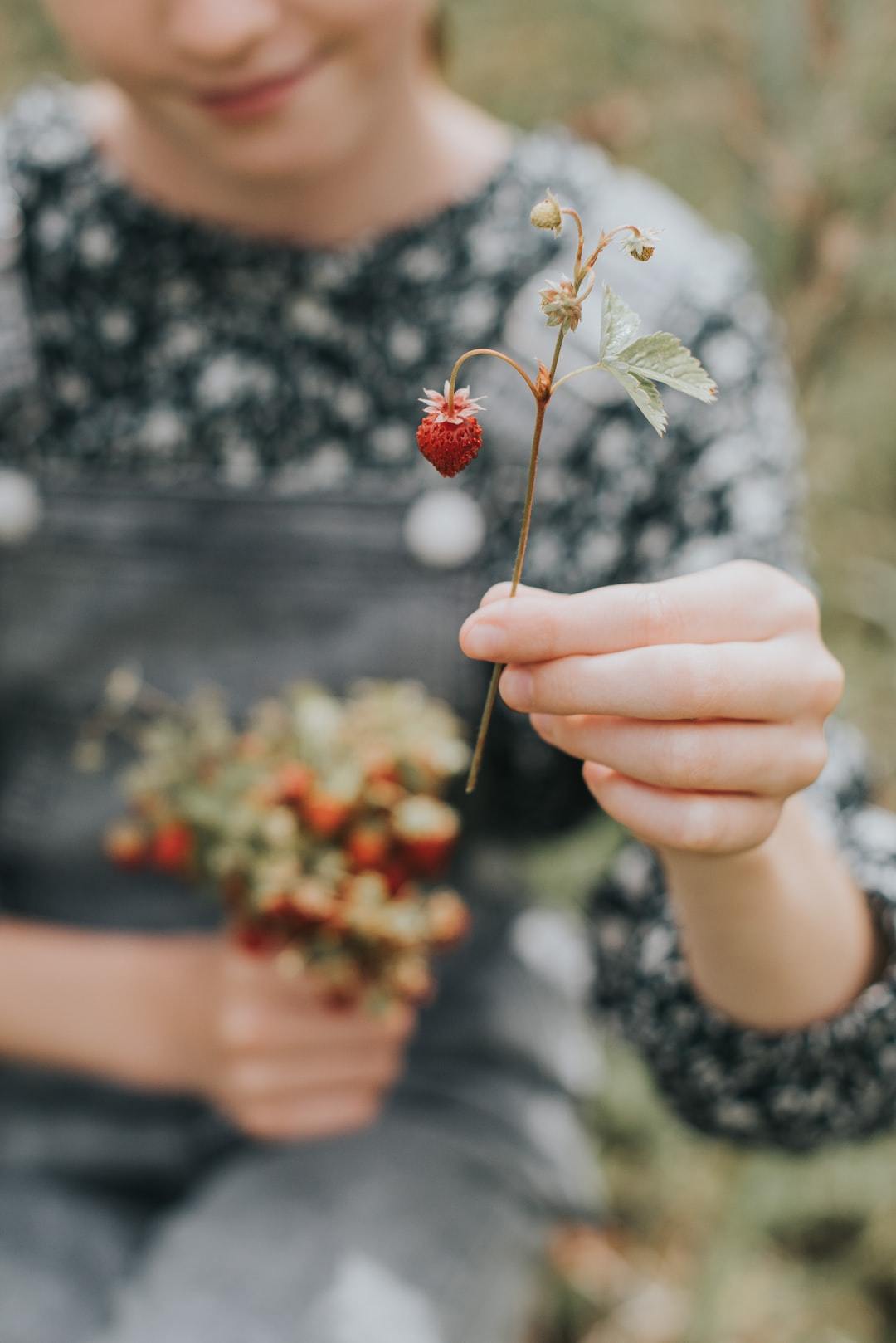 艾尔之光角色名字