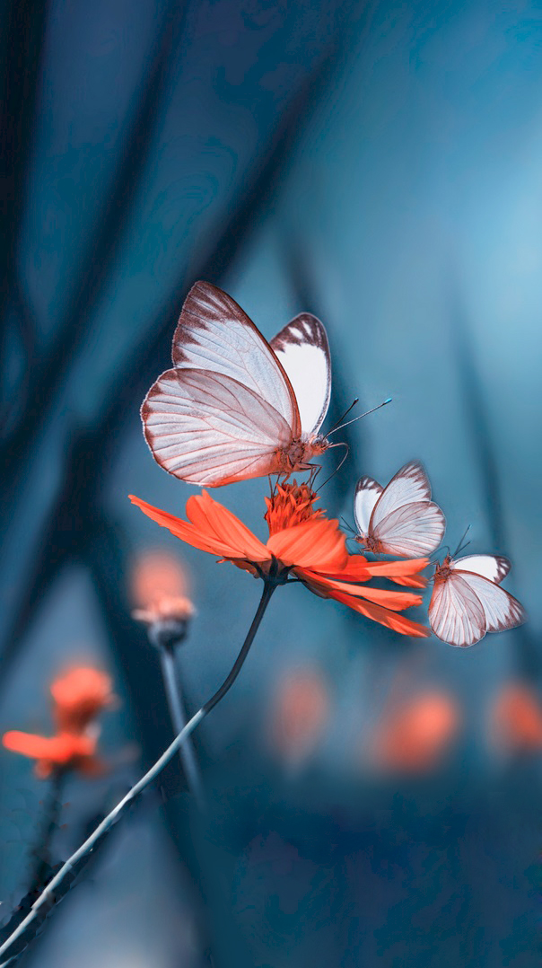 2021年霸气超拽超好听的网名