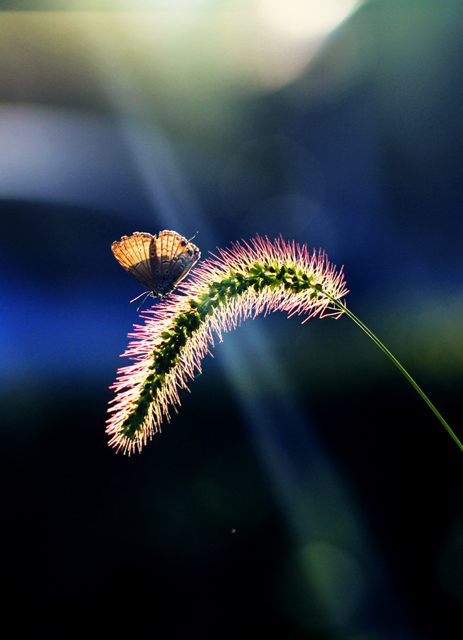 小清新风格女生网名清雅合集--都不要看到我