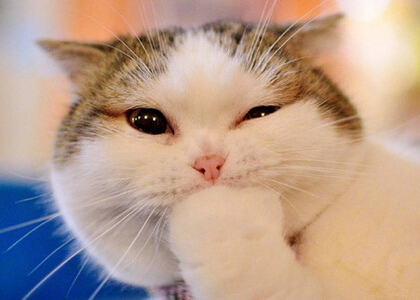 撕心裂肺的网名、遗忘你曾经给过得刻骨