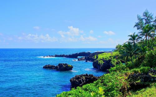 除夕夜下大雪的说说、平平淡淡才是真，平平