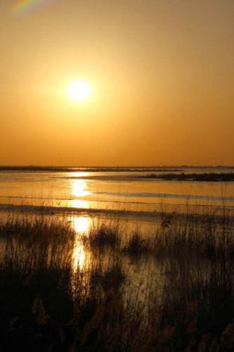 小寒之后祝福语、我的祝福穿过冷凛寒风