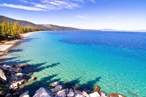 腊八节祝福语买赠活动