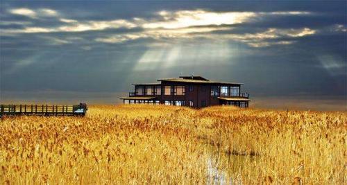 虎年除夕祝福语说说大全