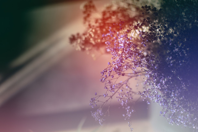 小年早安问候语 短信虽短情意长，新春