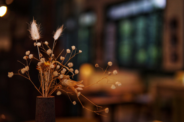 元旦给孩子的新年祝福语大全简短