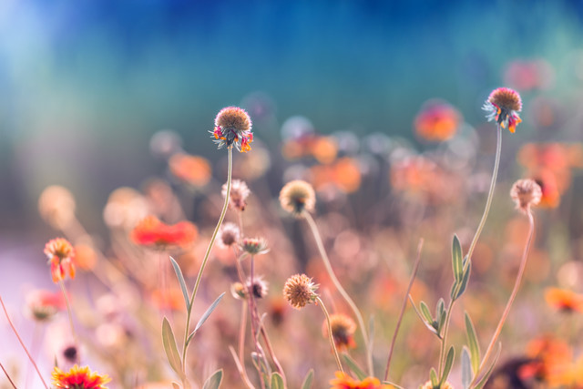 伤感说说长一点的--等到风景都看透，也许