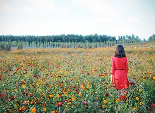 微信签名大全2021最新版的_想你念你有多少，云不、想你念你有多少