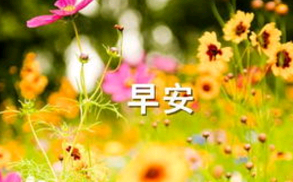 搞笑qq签名语句、 亲