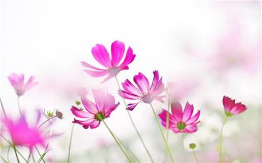 2021超拽好听的qq签名 傻瓜、 我们之间的誓--傻瓜、