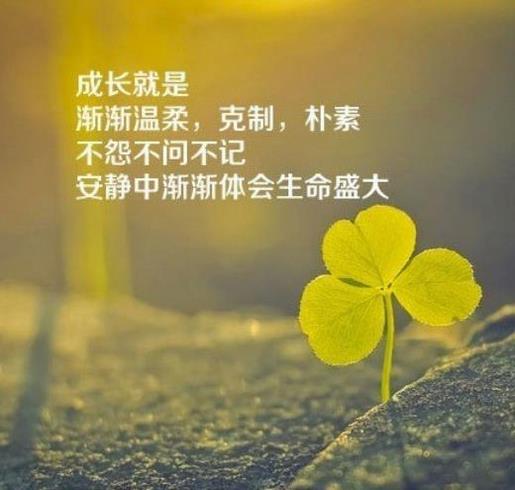 初音未来的个性签名--而不是来日的信心