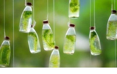 2021最新小清新文艺范儿微信个性签名 多少蓬菜旧事，空回首、多少蓬菜旧事