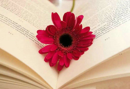 2021qq个性签名大全女 心不再，留不留都是痛_心不再