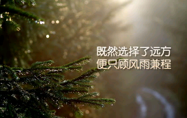 情侣甜蜜幸福的微信个性签名