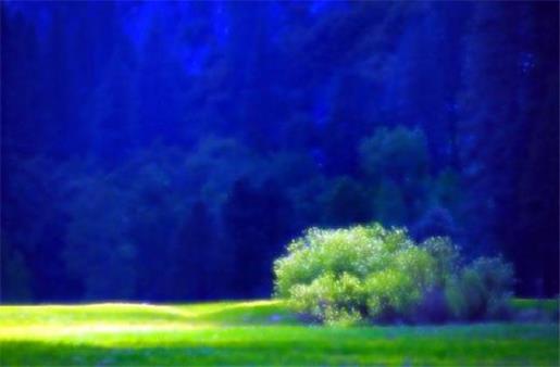 个性搞笑签名2021最新版_值不值得去守候？