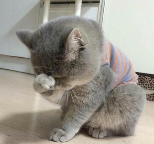 2021最新霸气微信个性签名超拽御姐范儿--原来命运并不会因为你