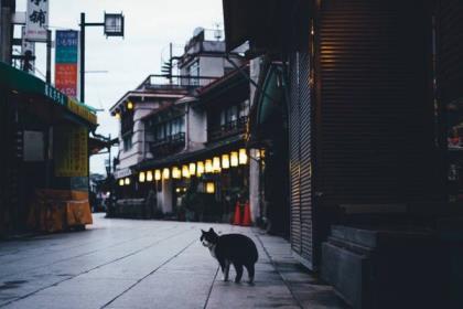 2021微信最火的个性签名推荐