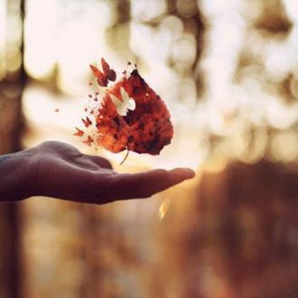 超幸福个性签名2021_无奈，总是爱行走，像--无奈