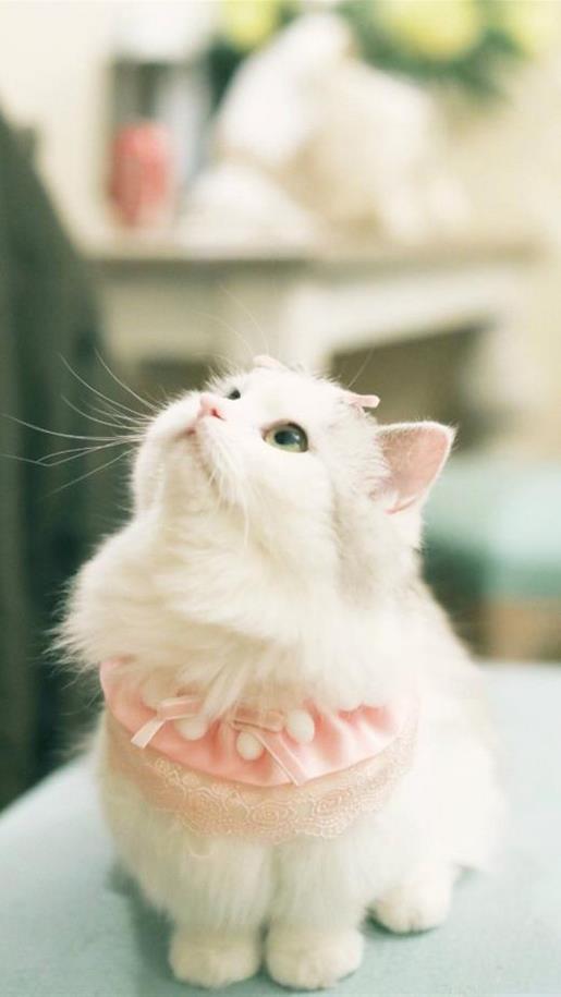 2021伤感文艺范qq签名大全