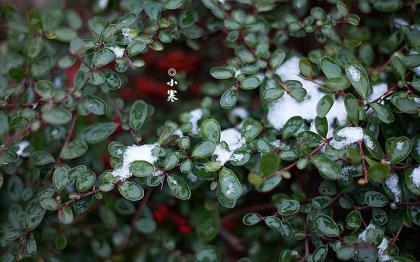 2021搞笑好玩的qq签名设计_如果我挽留你,你会留--如果我挽留你