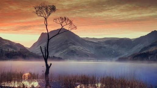 2021最后一波超个性签名--为战胜寂寞与孤独