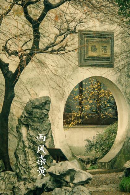 qq励志个性签名追梦 你是我的谁。