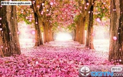 女生伤感个性签名大全2021_请不要再继续看了