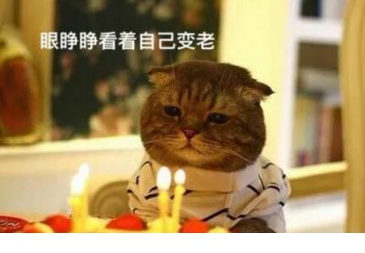 毕业青春励志唯美句子签名、只有各自去体会