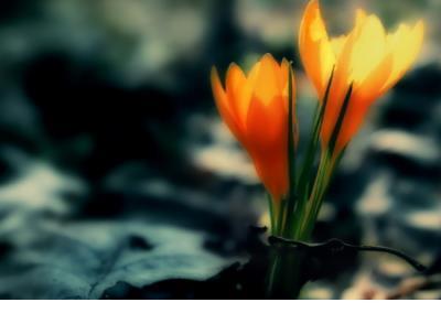 冷血女生2021最伤感个性签名--睡懒觉不是我的专长，