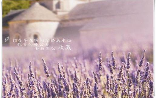 微信情侣个性签名浪漫一对--我想走进你的心里